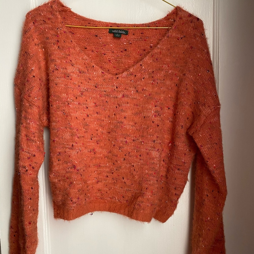 cropped sweater by Wild Fable